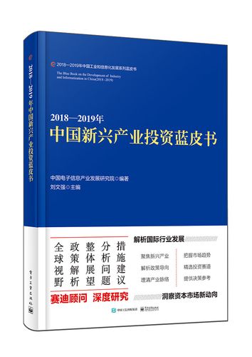 正版现货 2018-2019年中国新兴产业投资蓝皮书9787121376979